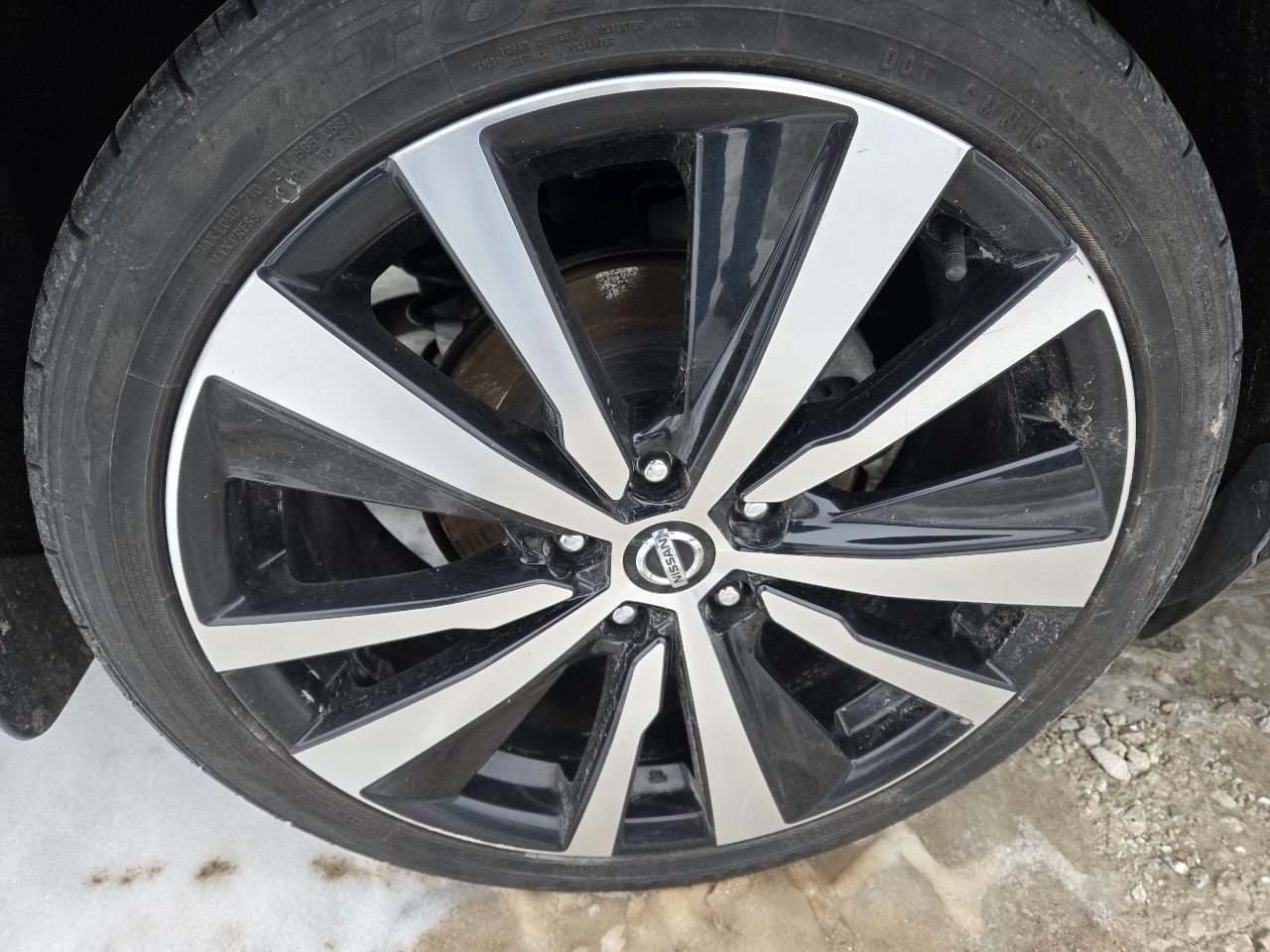 Vehicle/248871_06.jpg