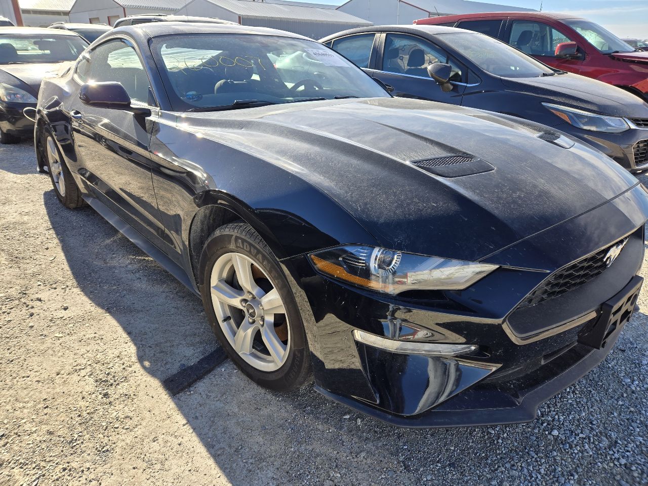 Vehicle/249205_01.jpg