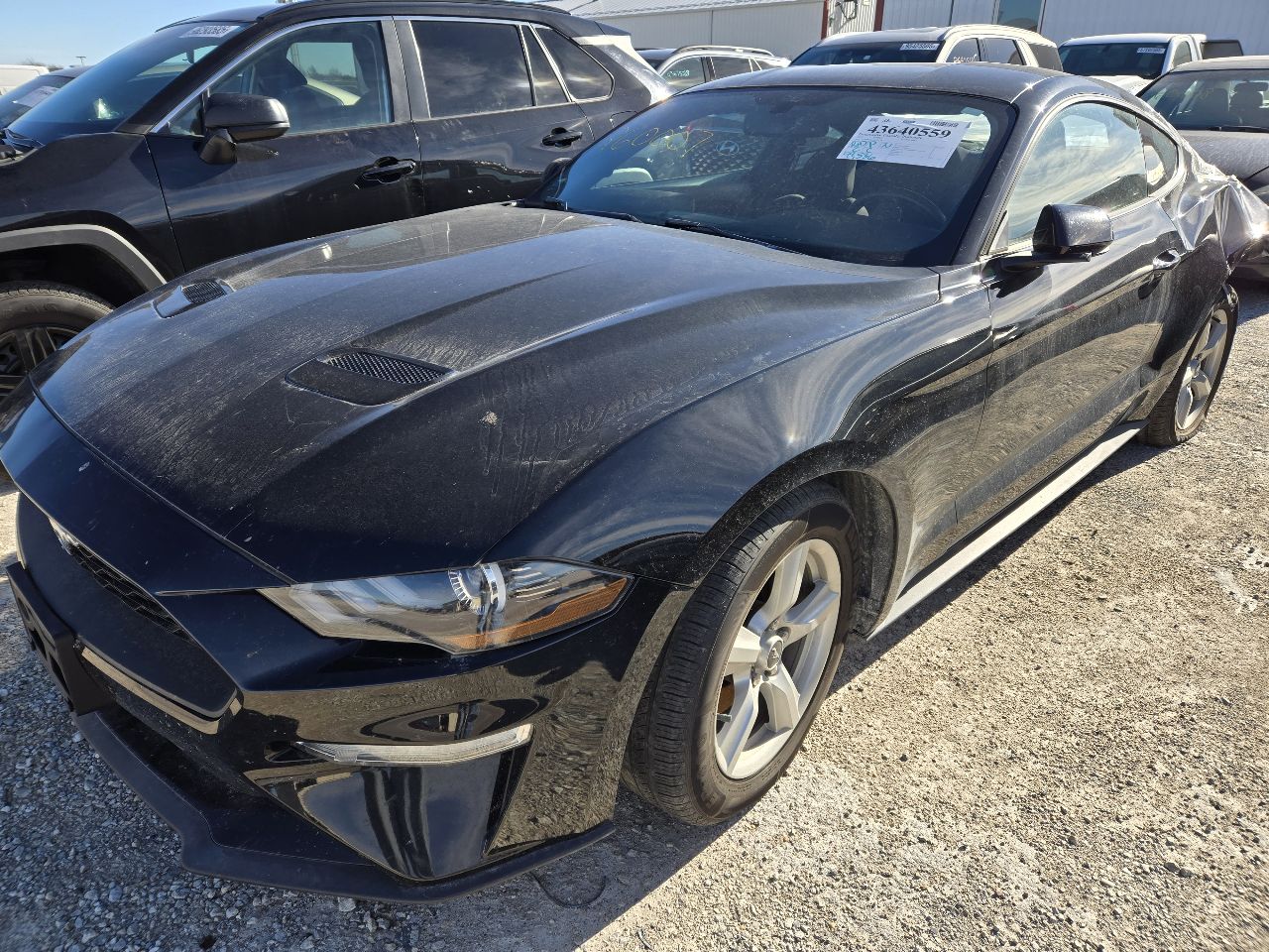Vehicle/249205_02.jpg