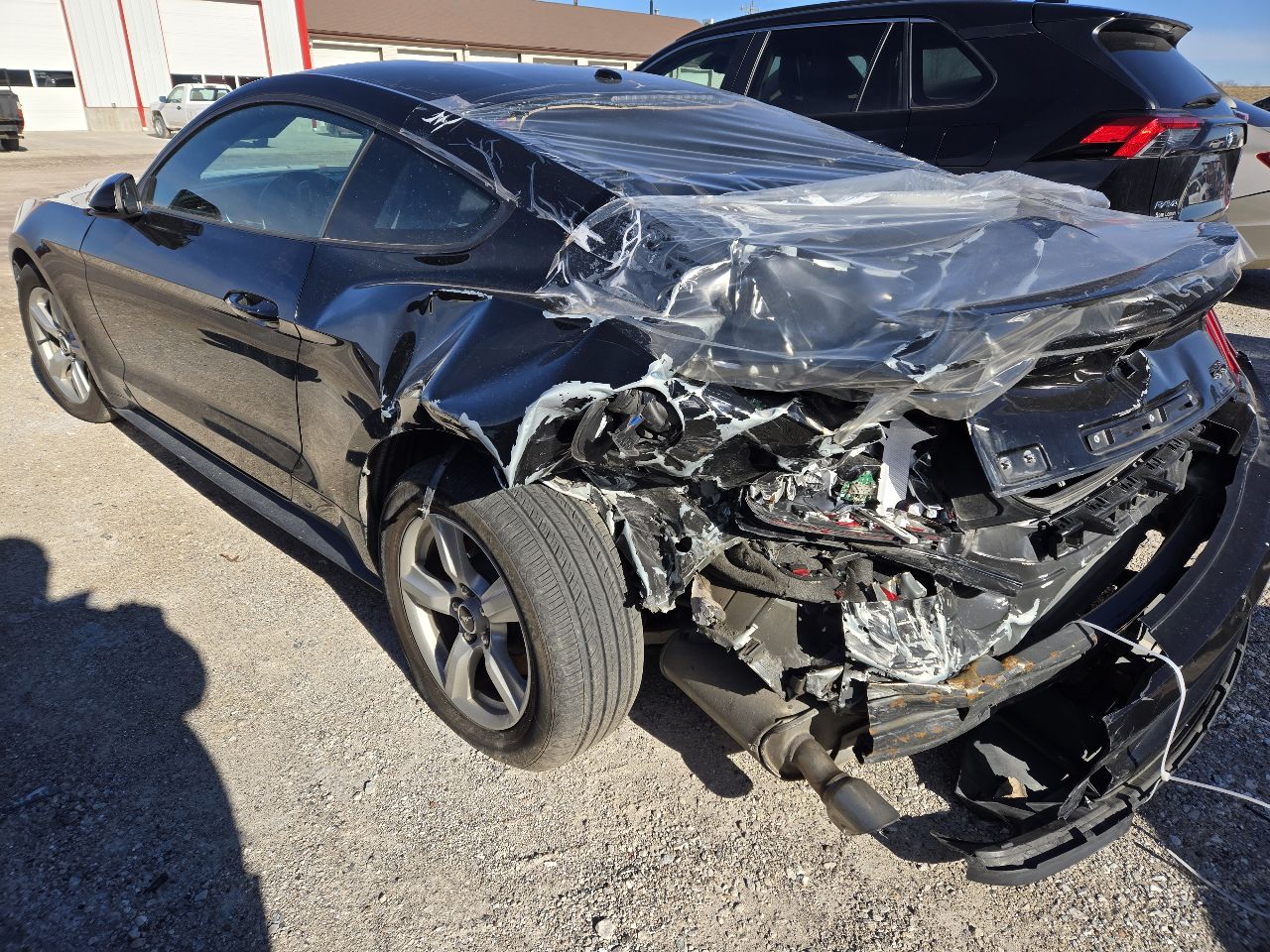 Vehicle/249205_03.jpg
