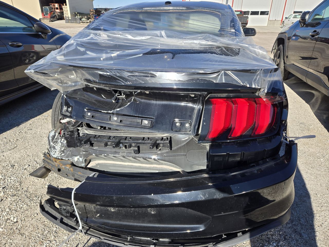Vehicle/249205_05.jpg