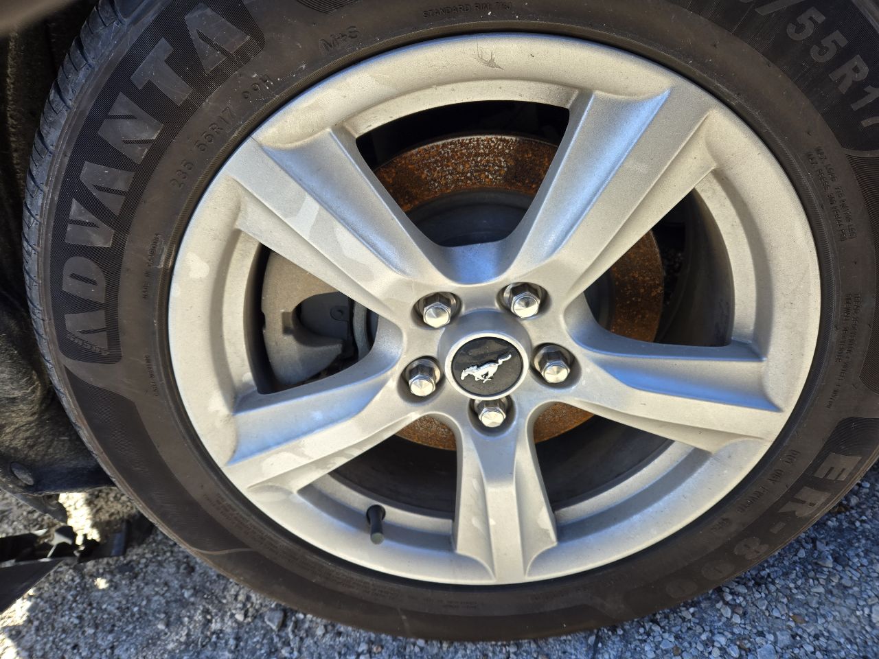 Vehicle/249205_06.jpg