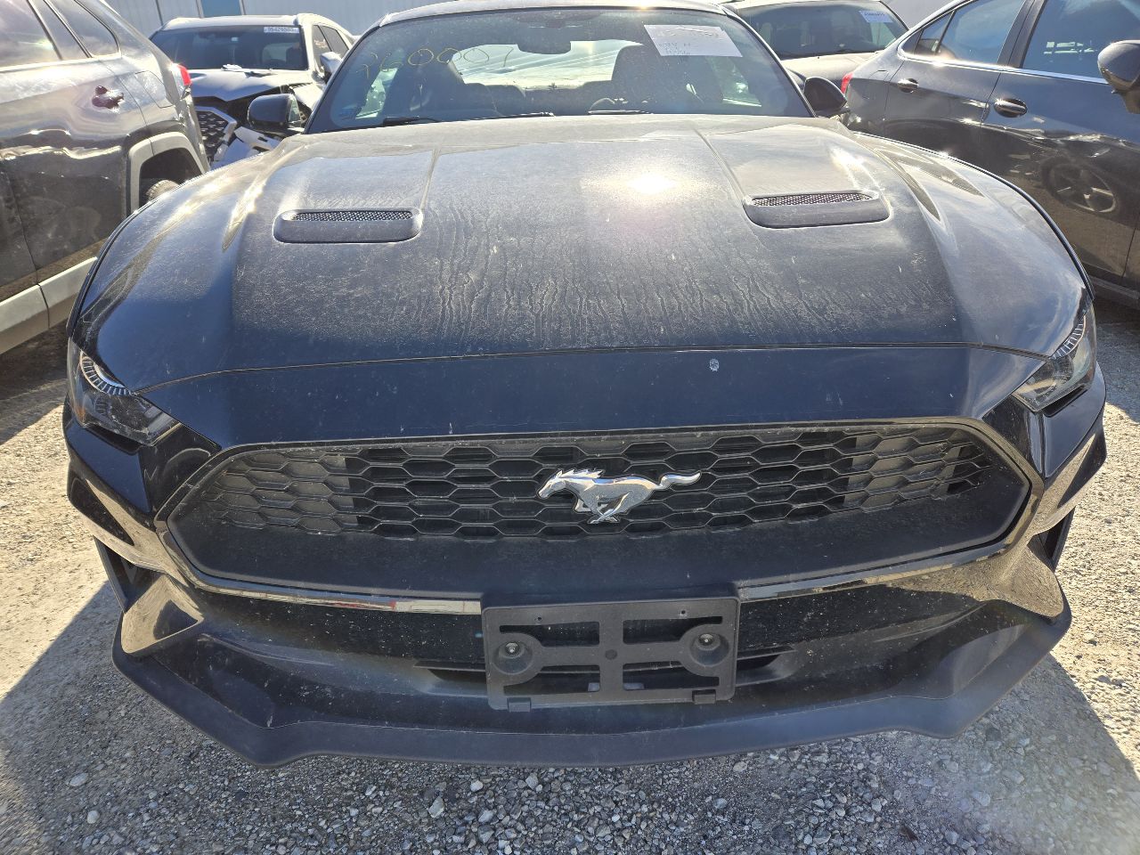 Vehicle/249205_08.jpg