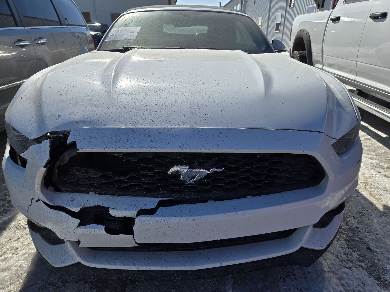 https://f005.backblazeb2.com/file/img-partshotlines-com/Inventory/EX441/Vehicle/249373_07.jpg