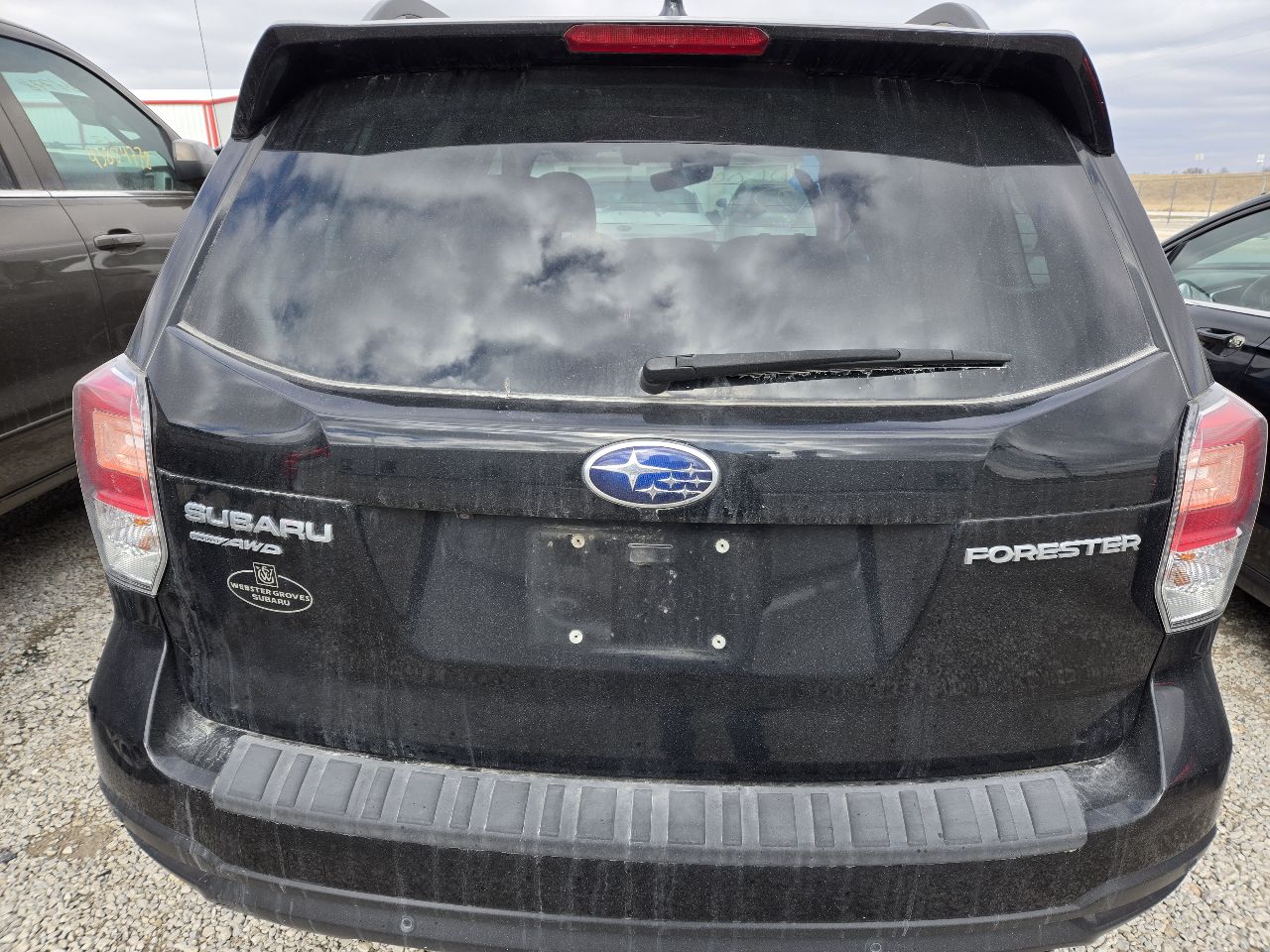 Vehicle/249413_05.jpg