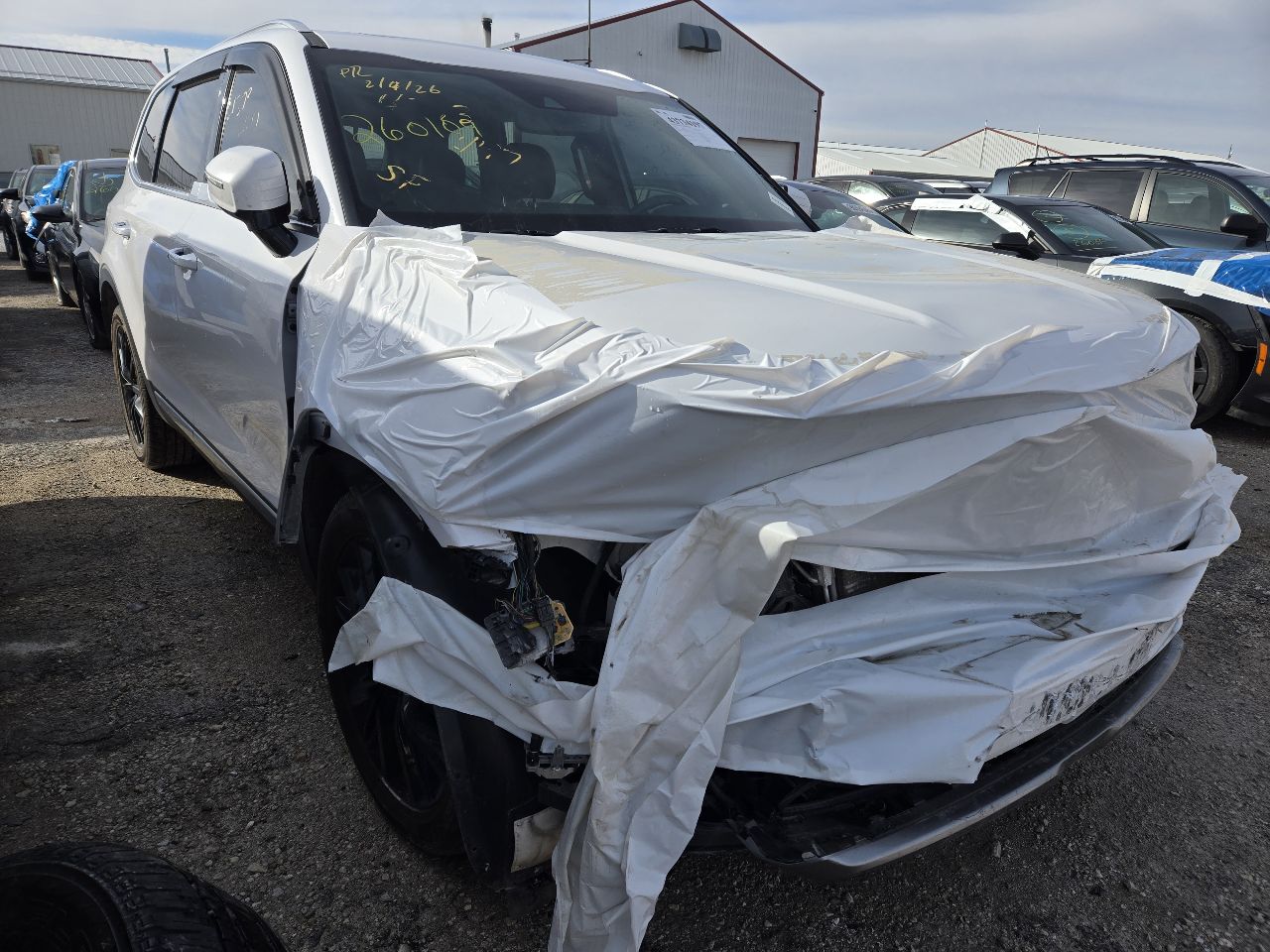 Vehicle/249429_01.jpg