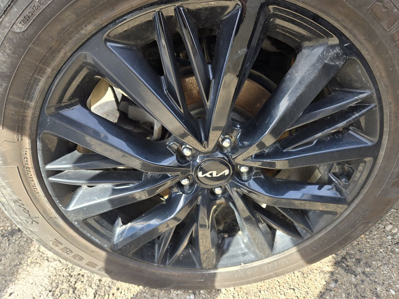 Vehicle/249429_06.jpg