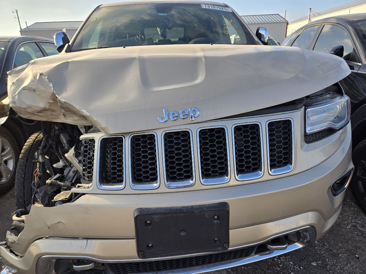 Vehicle/249437_09.jpg