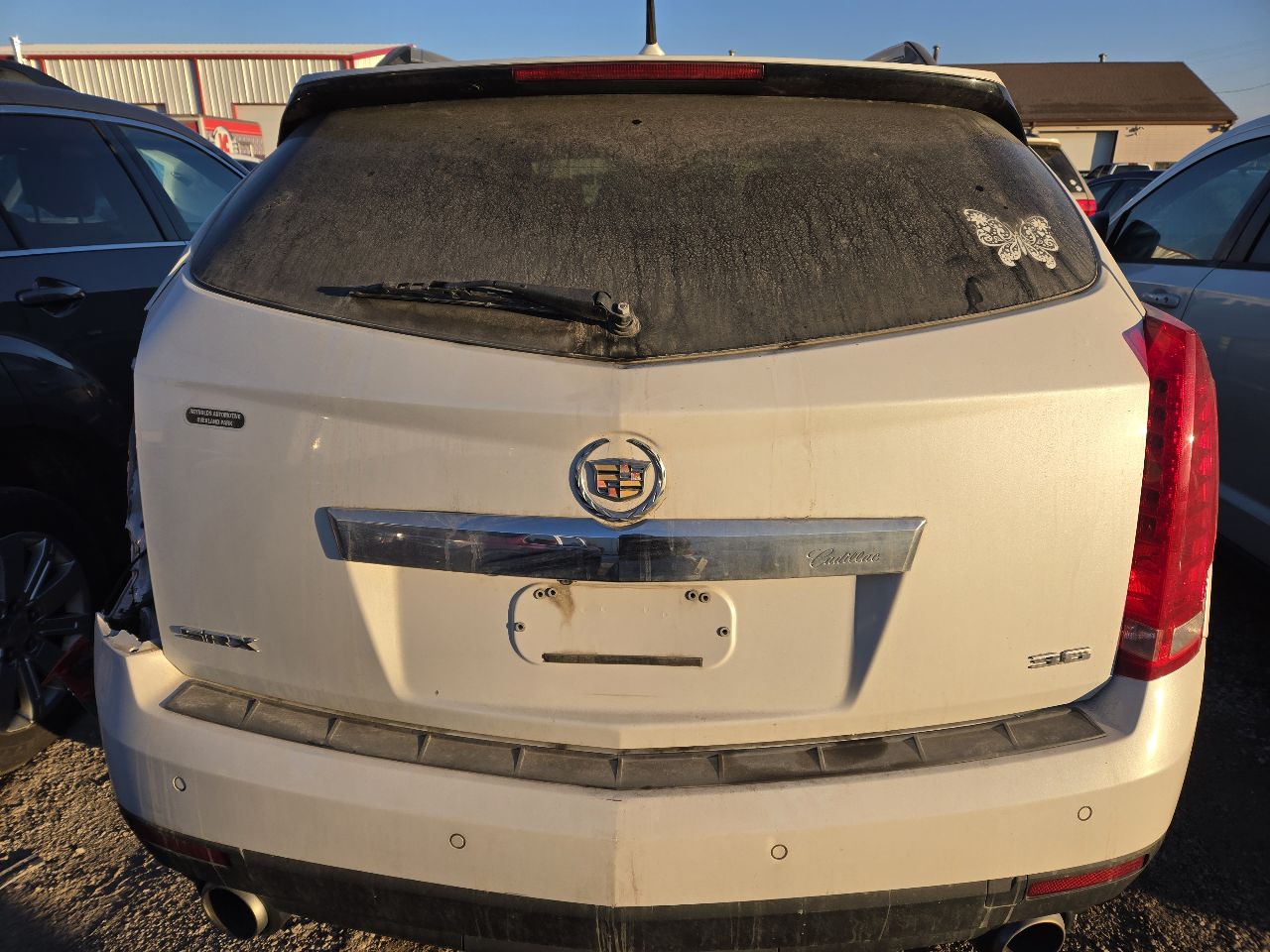 Vehicle/249440_05.jpg