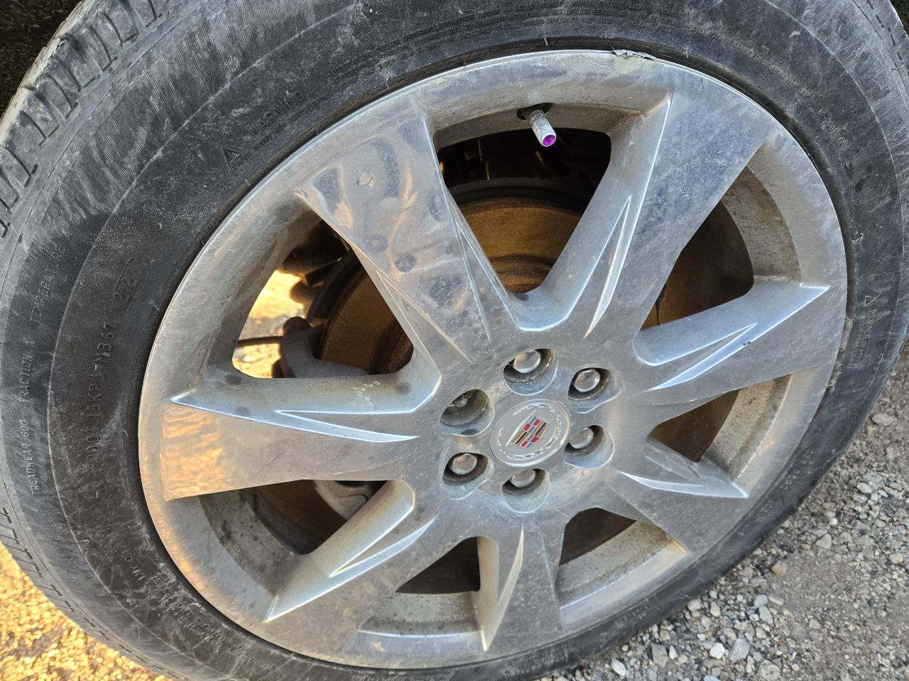 Vehicle/249440_06.jpg