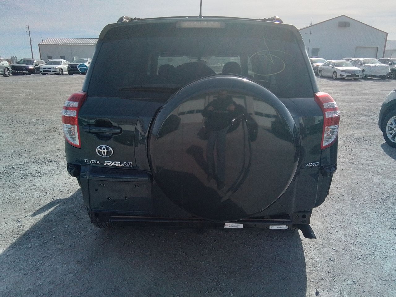 Vehicle/249508_11.jpg