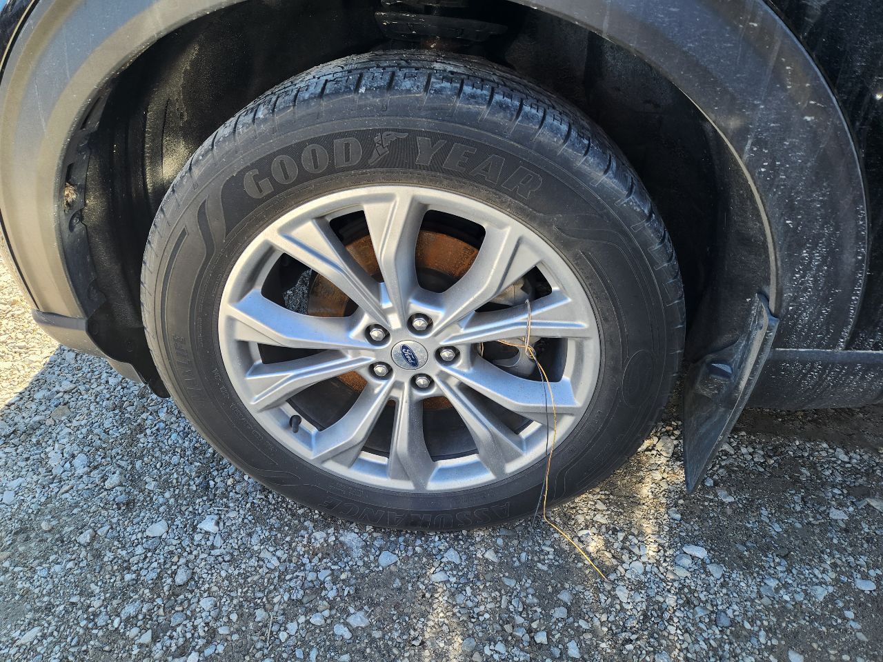 Vehicle/249574_06.jpg