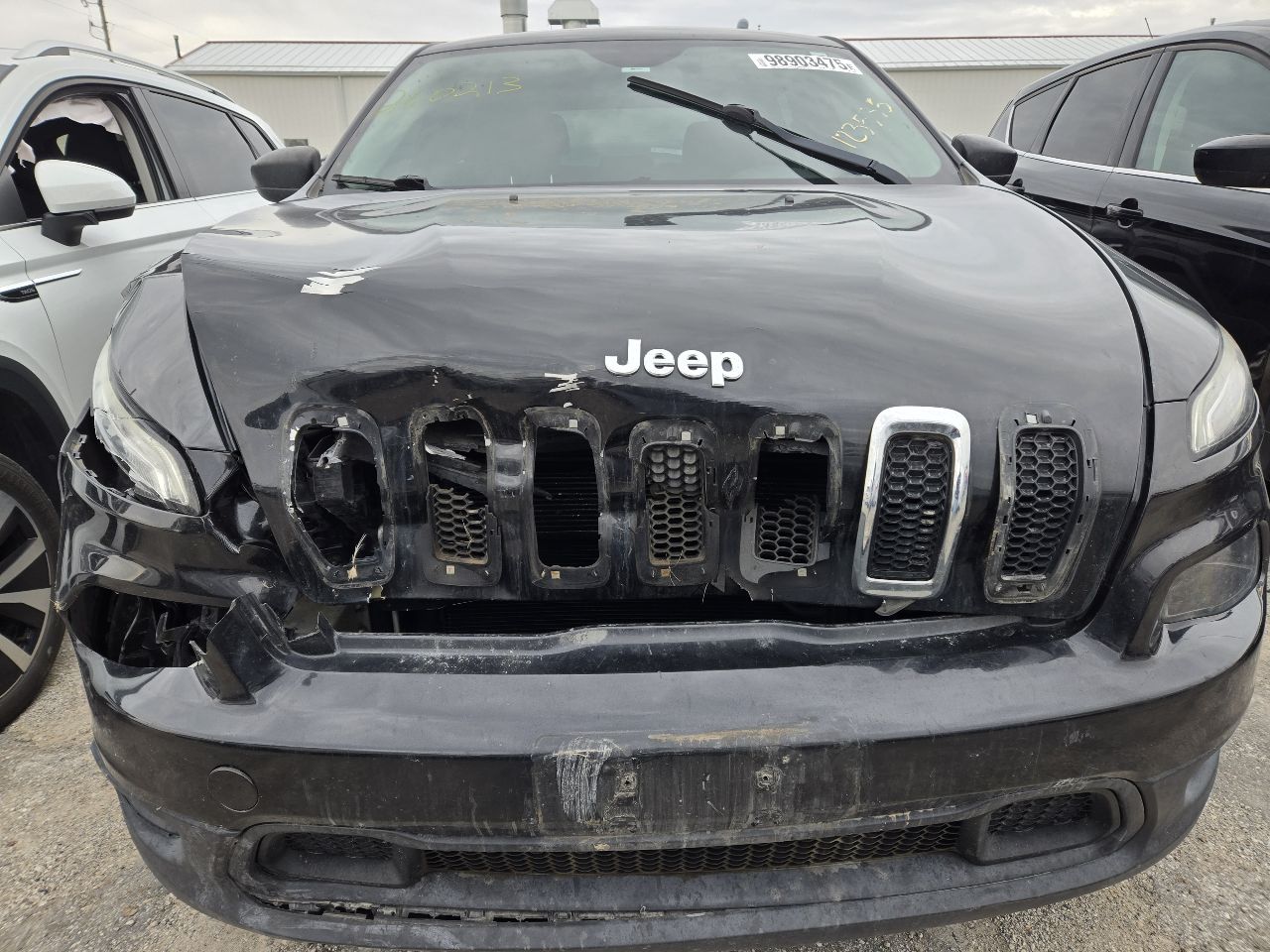 Vehicle/249593_08.jpg