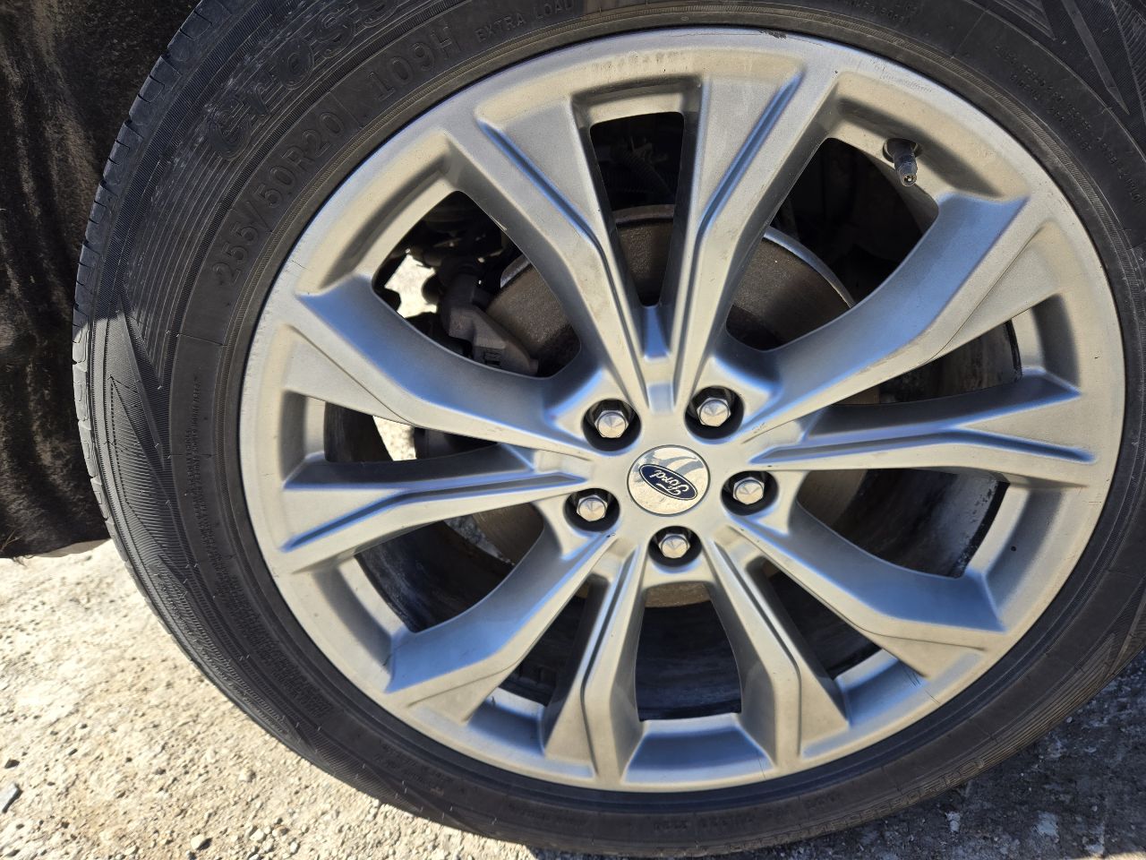 Vehicle/249607_06.jpg
