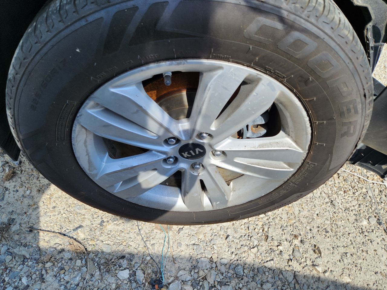 https://f005.backblazeb2.com/file/img-partshotlines-com/Inventory/EX441/Vehicle/249876_06.jpg