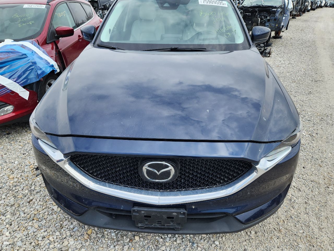 https://f005.backblazeb2.com/file/img-partshotlines-com/Inventory/EX441/Vehicle/249907_07.jpg