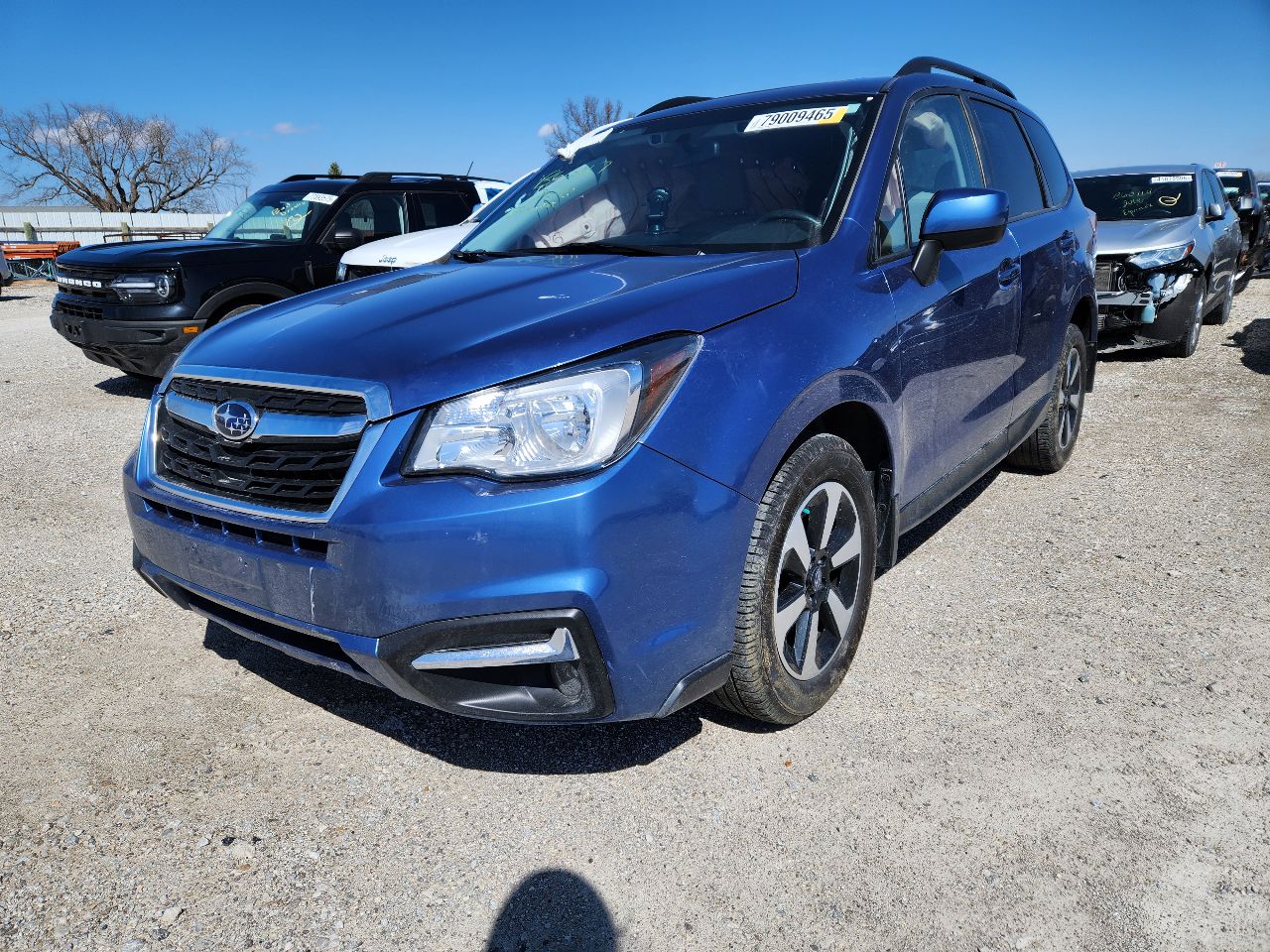 Vehicle/250009_01.jpg