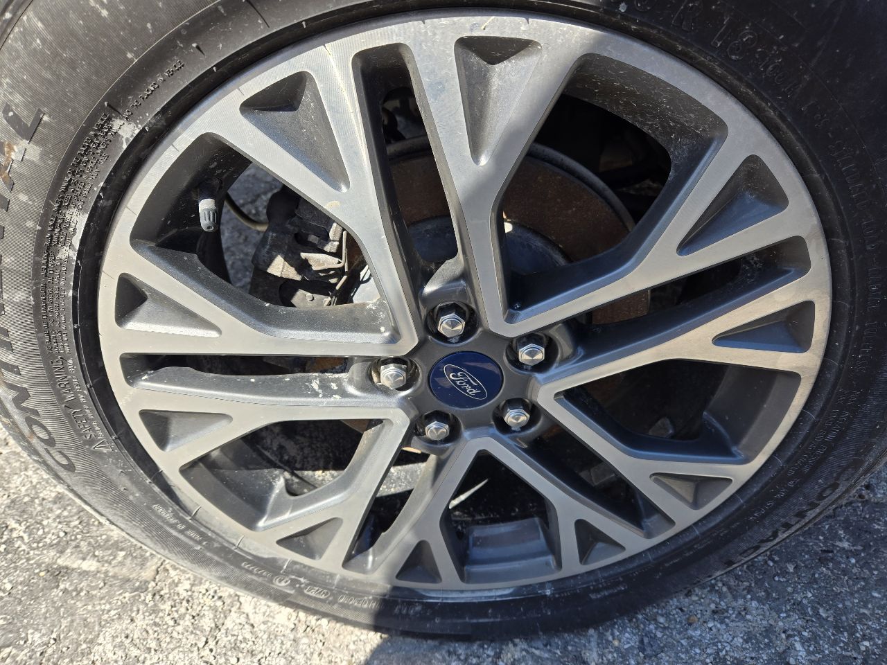 Vehicle/250036_06.jpg