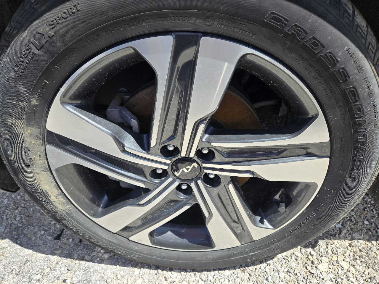https://f005.backblazeb2.com/file/img-partshotlines-com/Inventory/EX441/Vehicle/250169_07.jpg