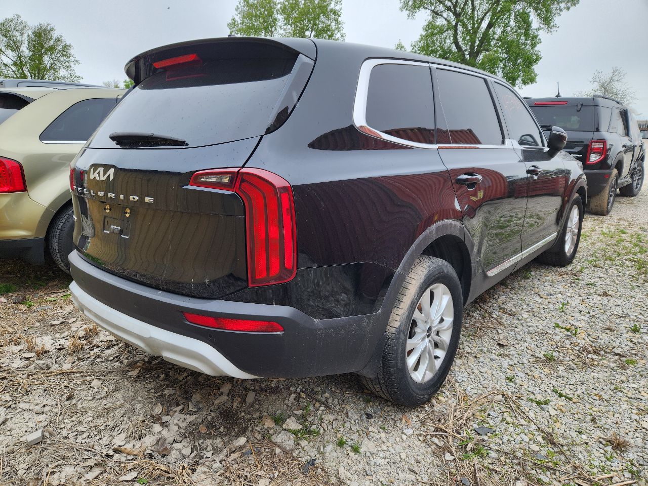 Vehicle/250177_03.jpg