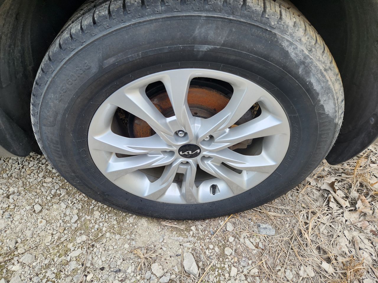 Vehicle/250177_06.jpg