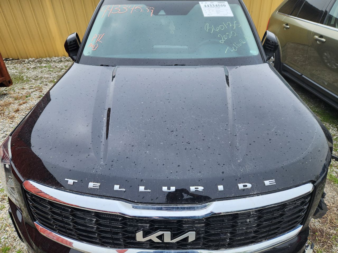 Vehicle/250177_07.jpg