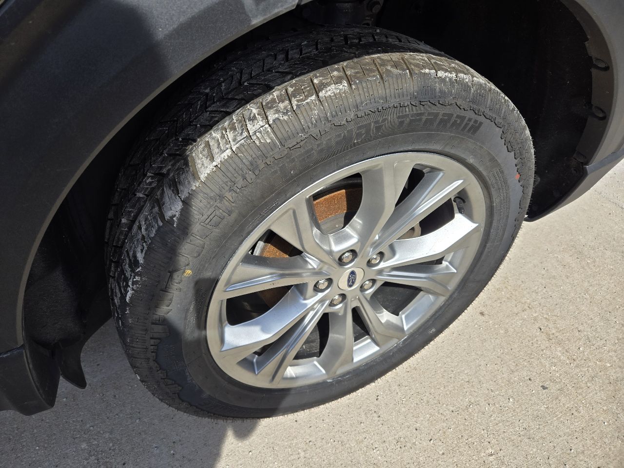 Vehicle/250564_11.jpg