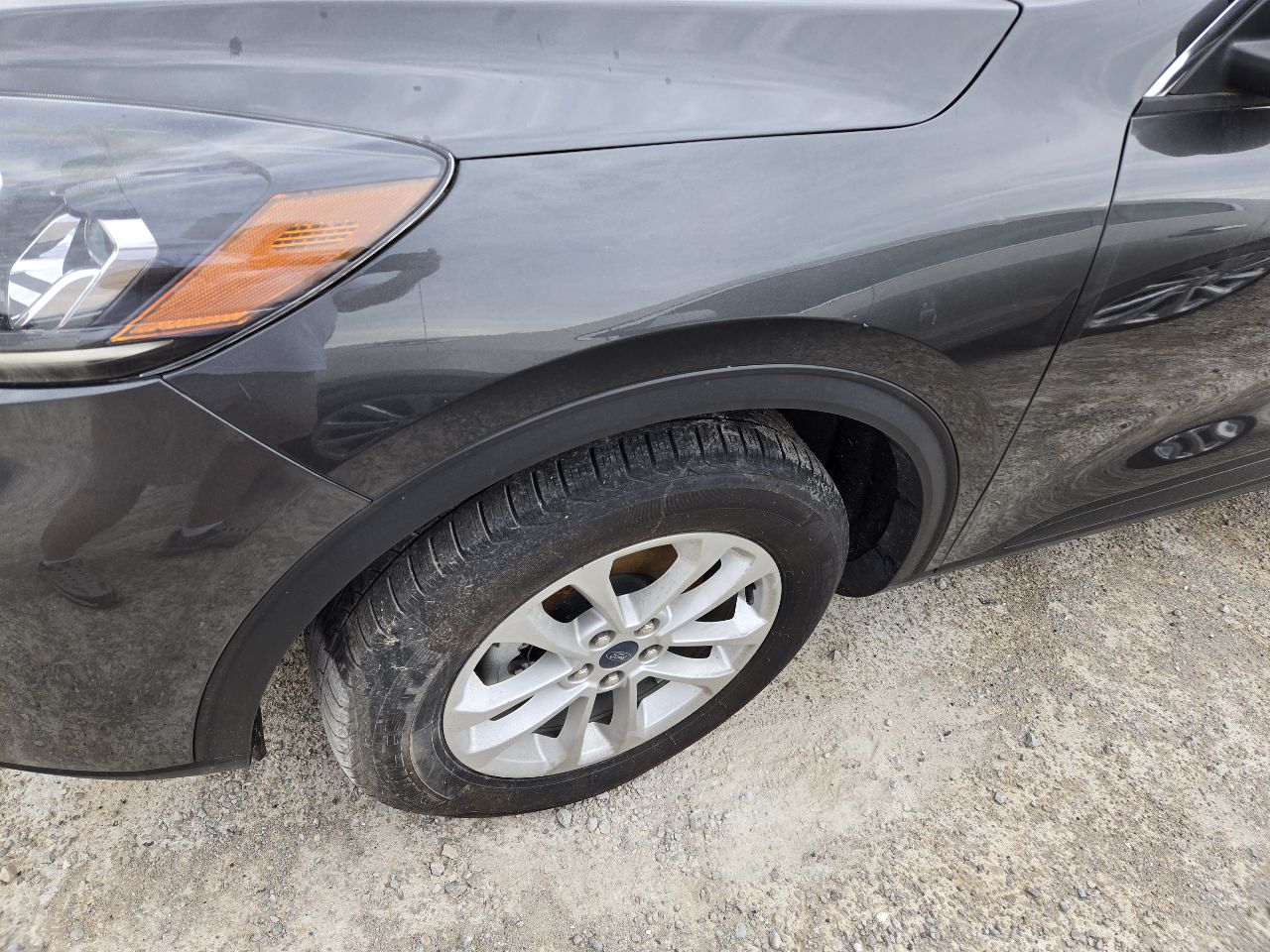 Vehicle/251055_02.jpg