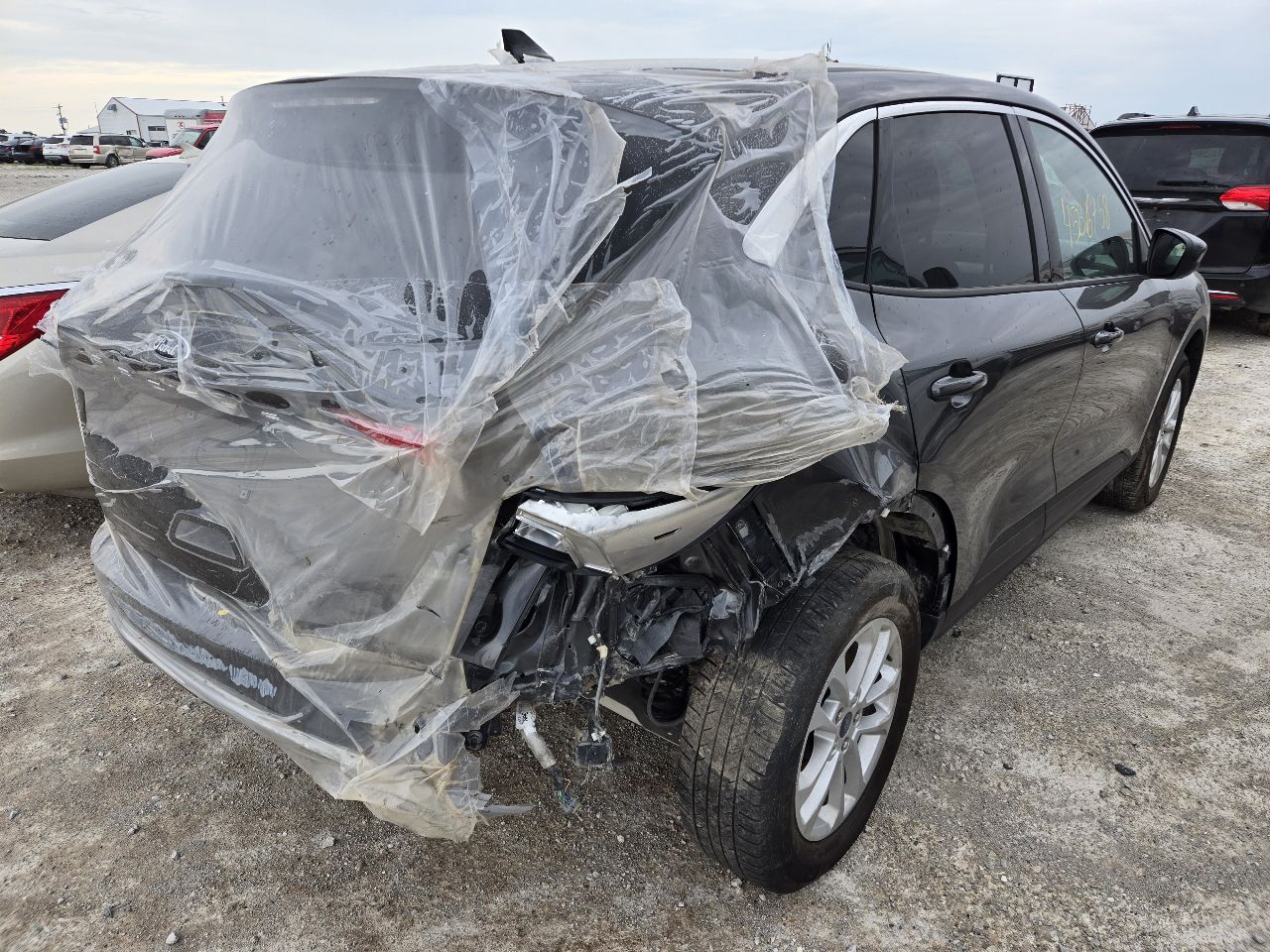 Vehicle/251055_08.jpg