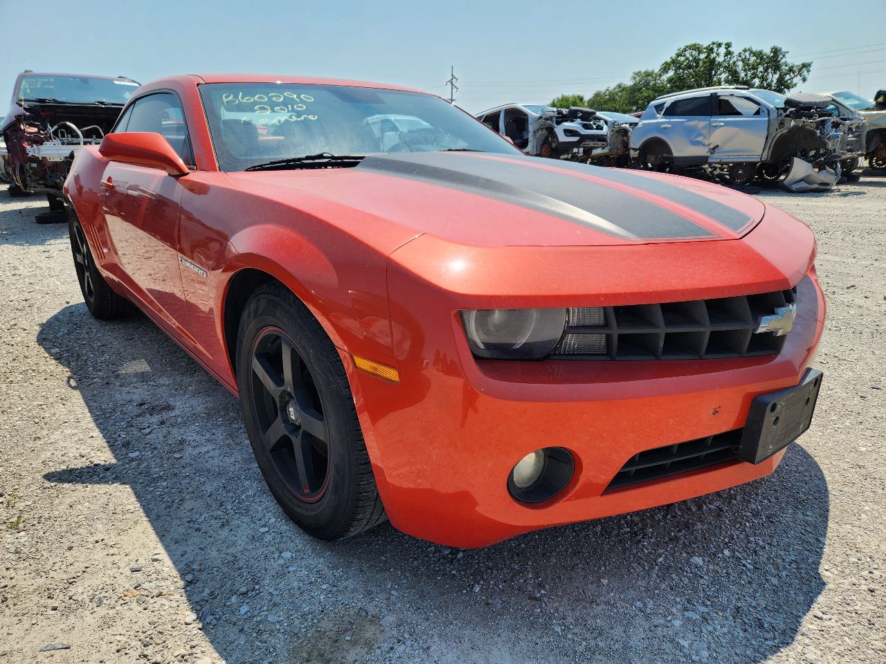 Vehicle/251296_04.jpg