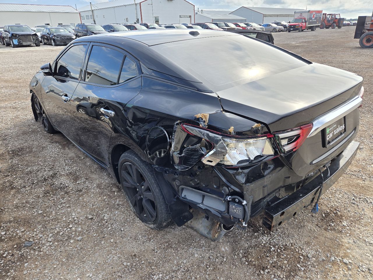 Vehicle/251530_06.jpg