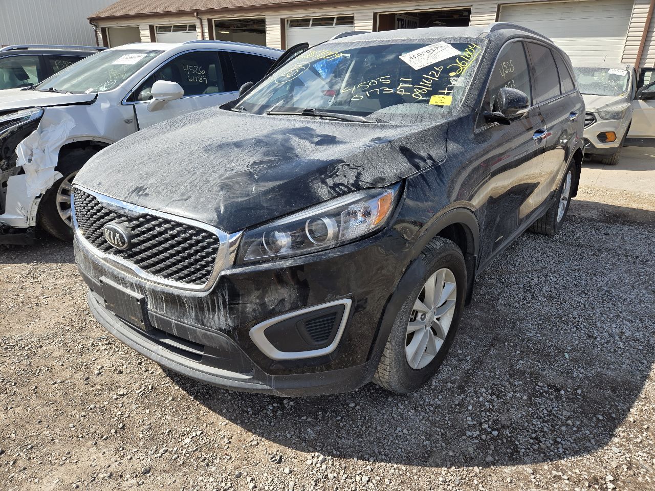 Vehicle/251597_01.jpg