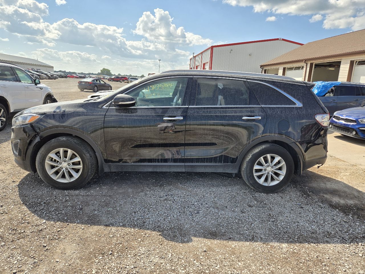 Vehicle/251597_04.jpg