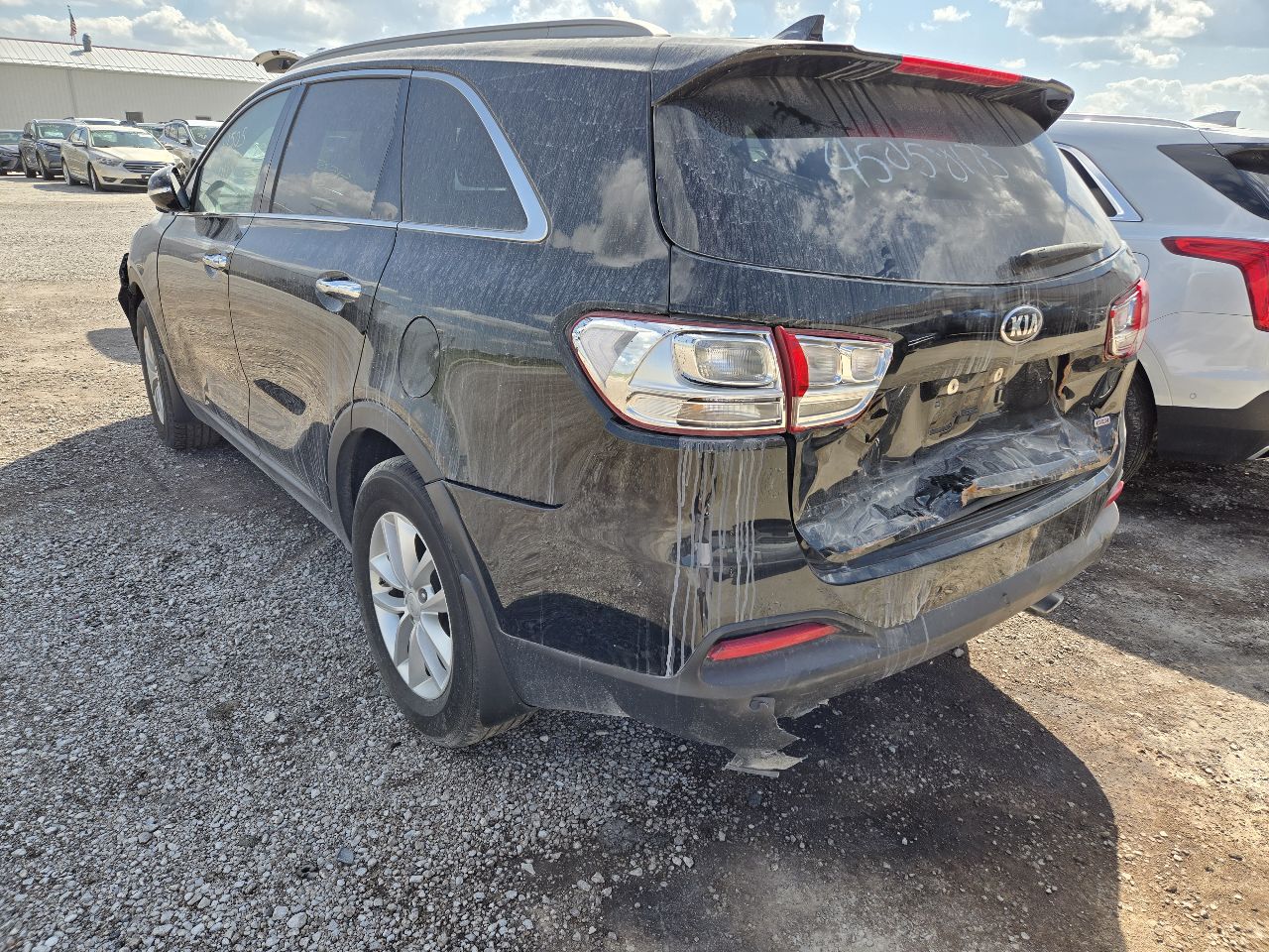 Vehicle/251597_05.jpg