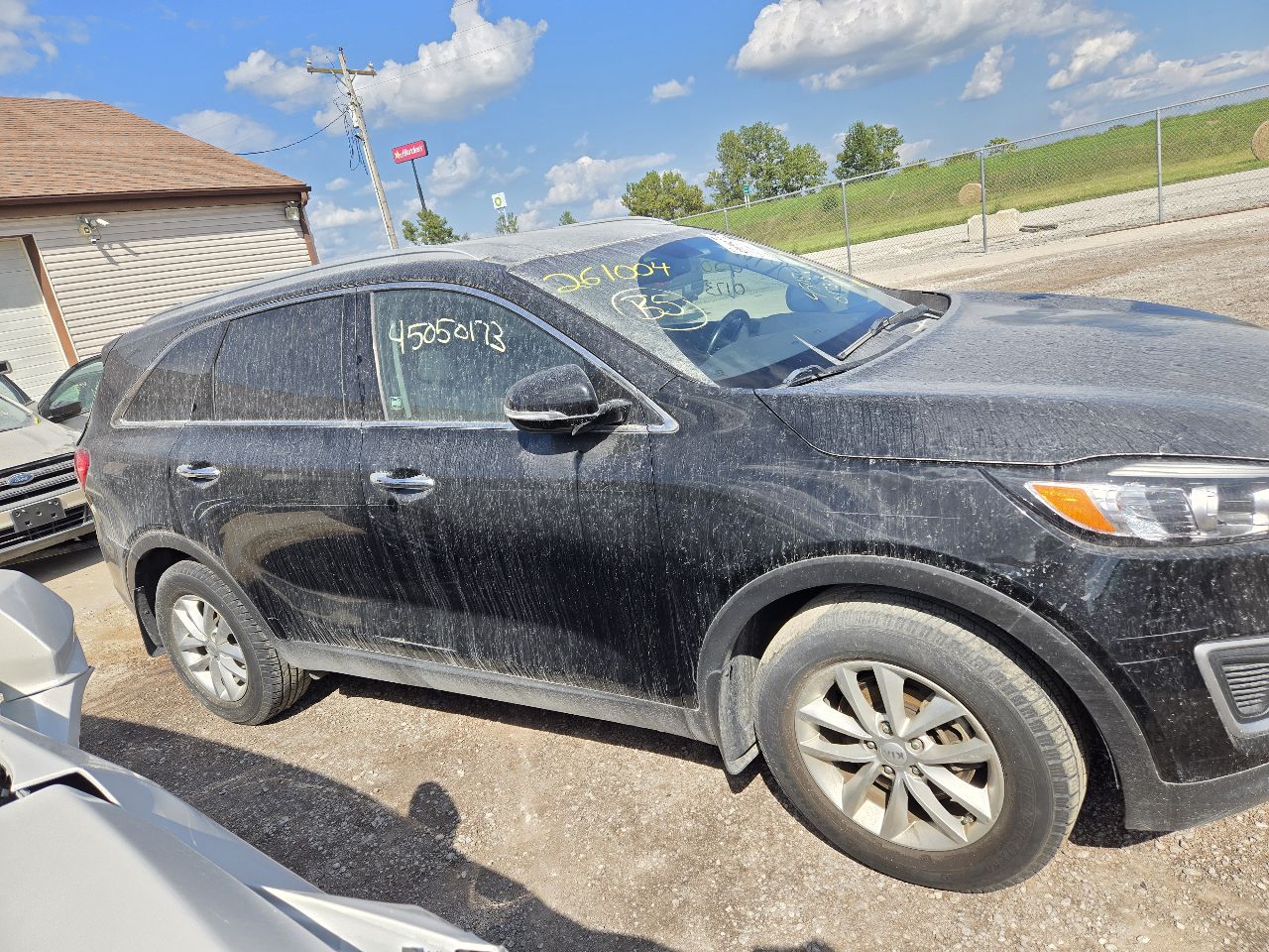 Vehicle/251597_11.jpg