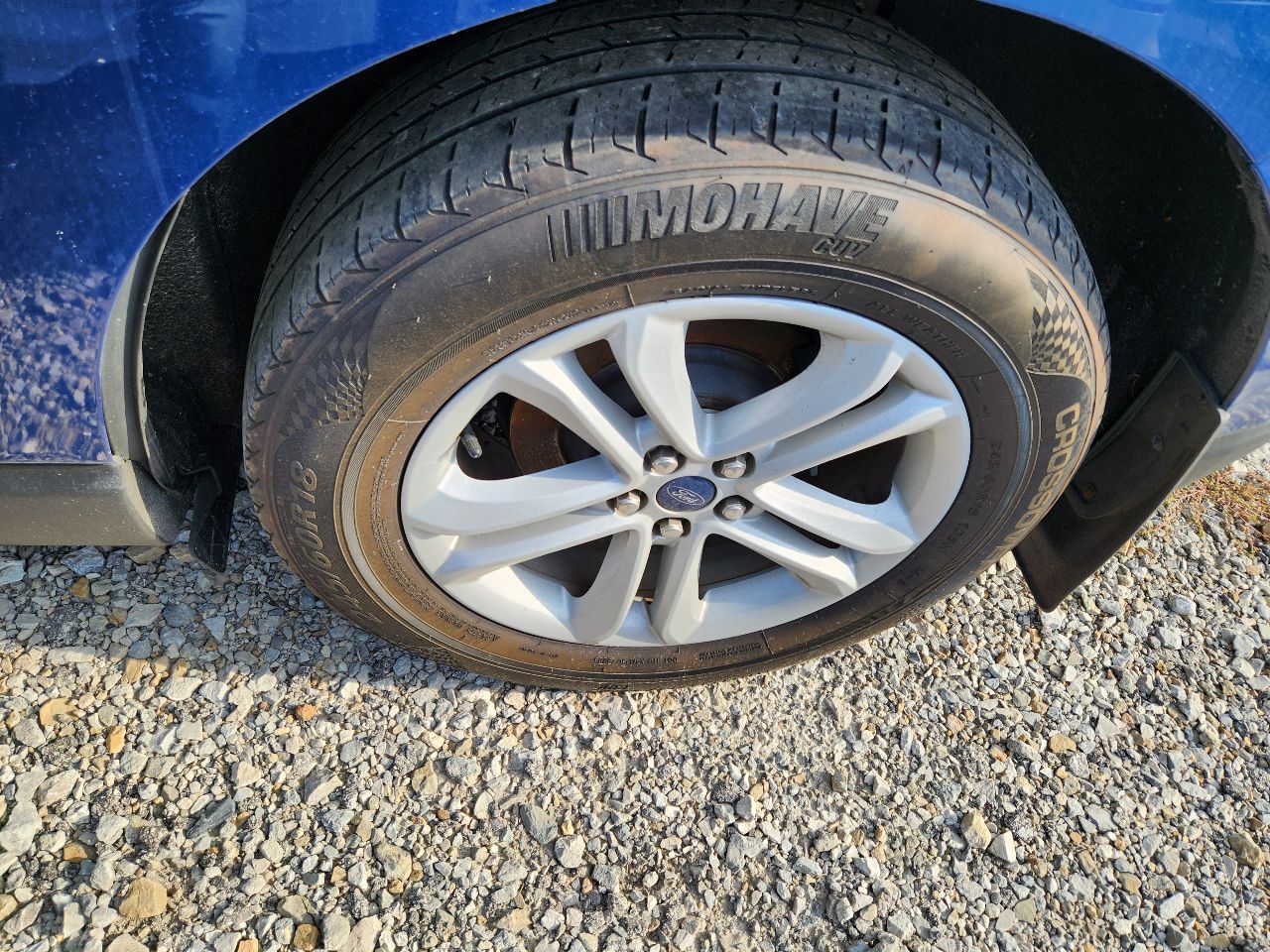 Vehicle/251629_06.jpg