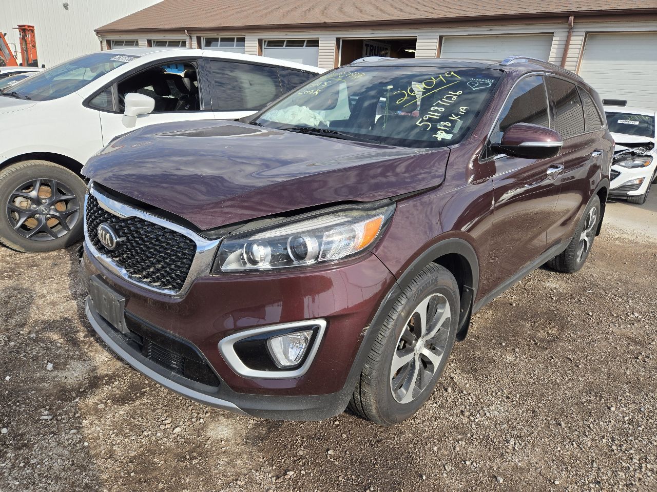 Vehicle/251703_01.jpg