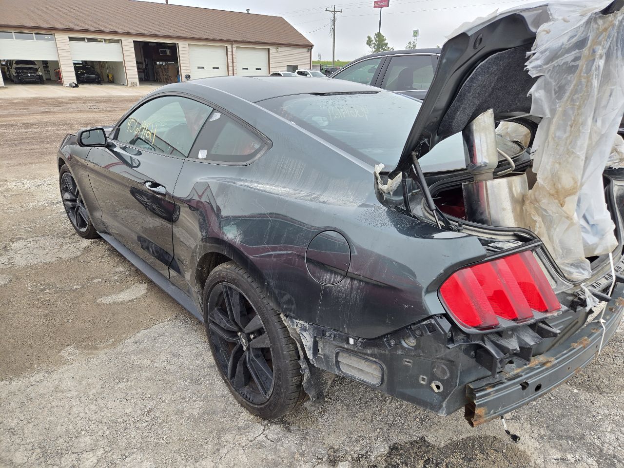 Vehicle/251819_04.jpg