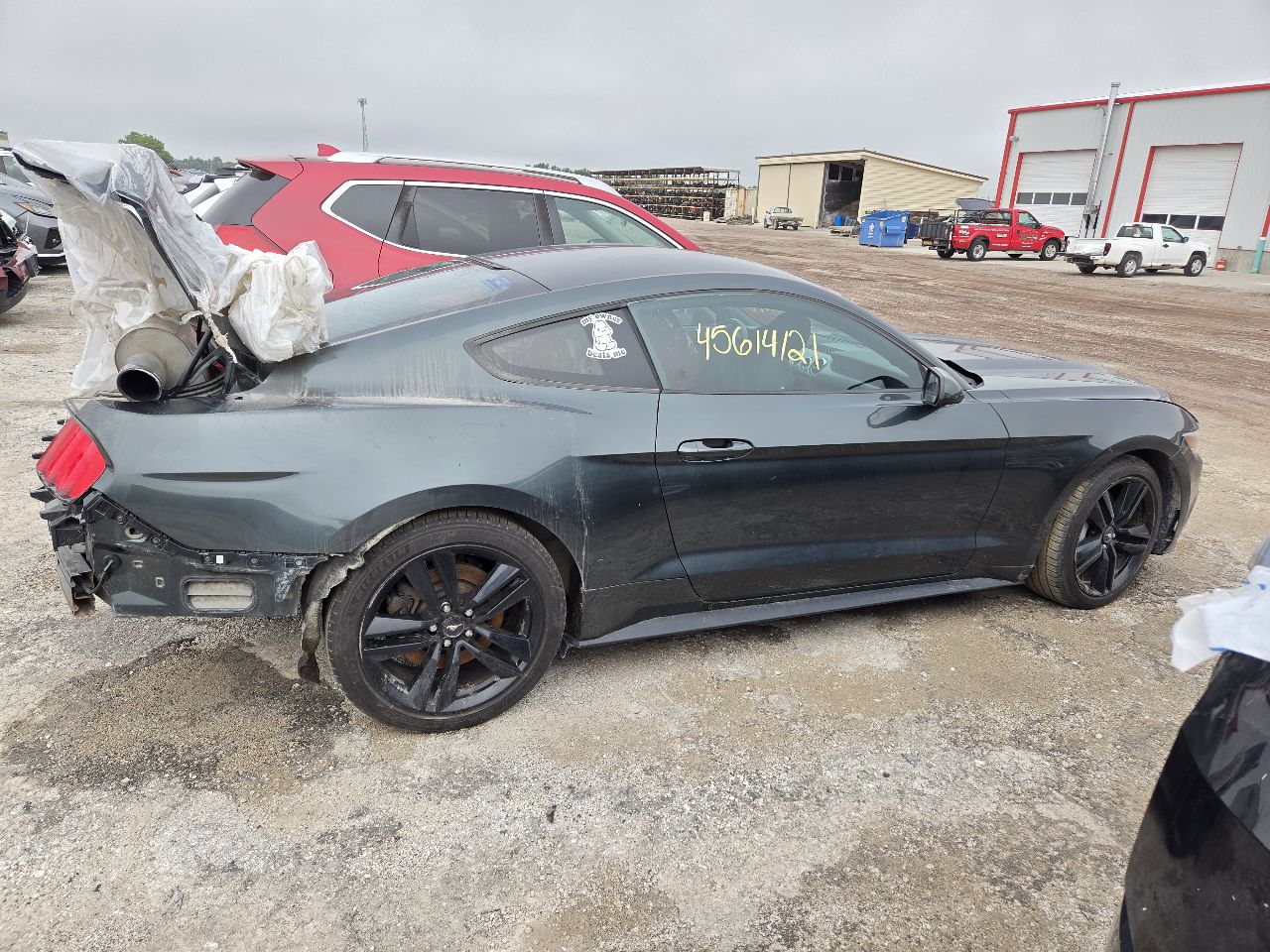 Vehicle/251819_07.jpg