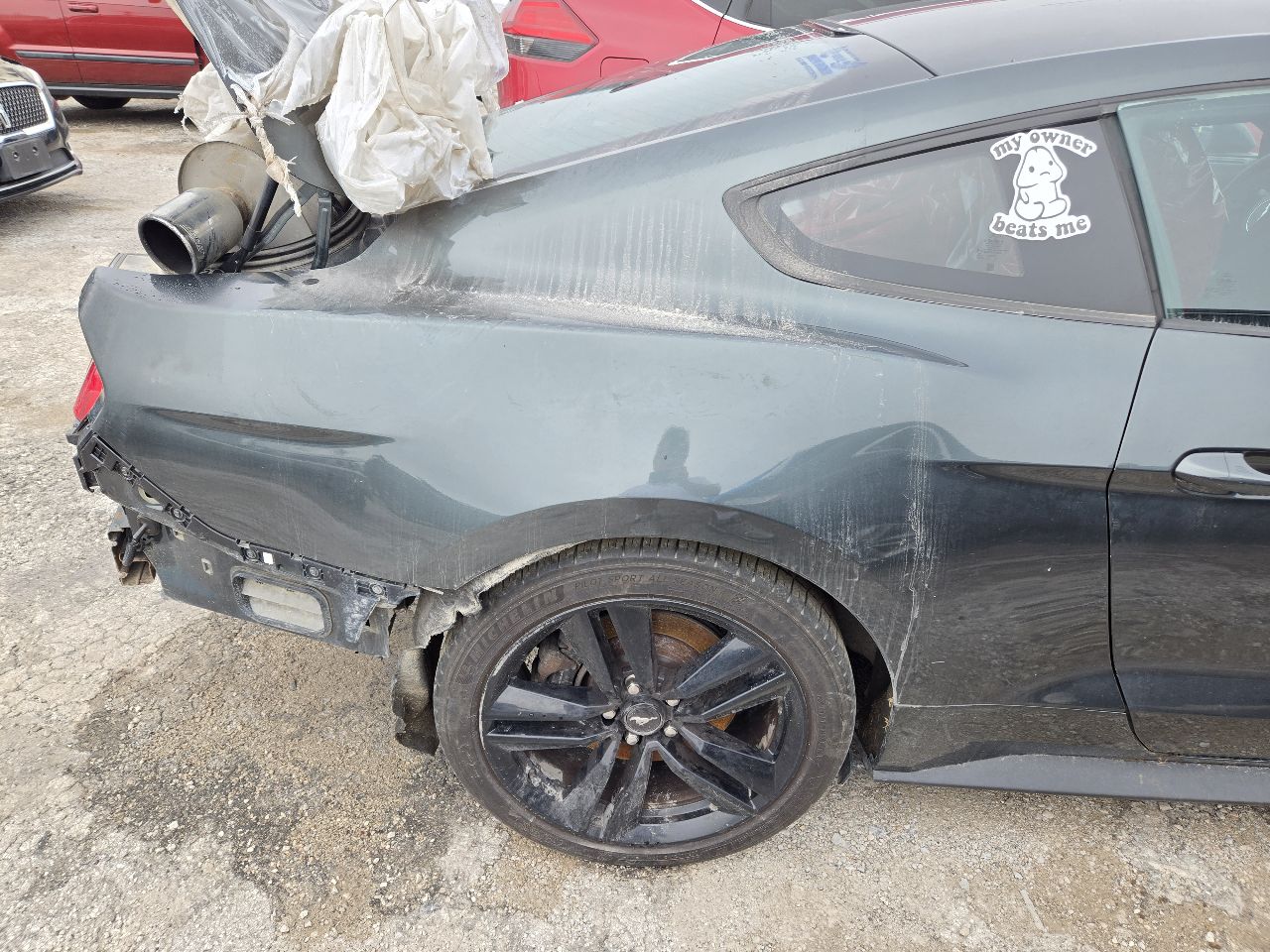 Vehicle/251819_08.jpg