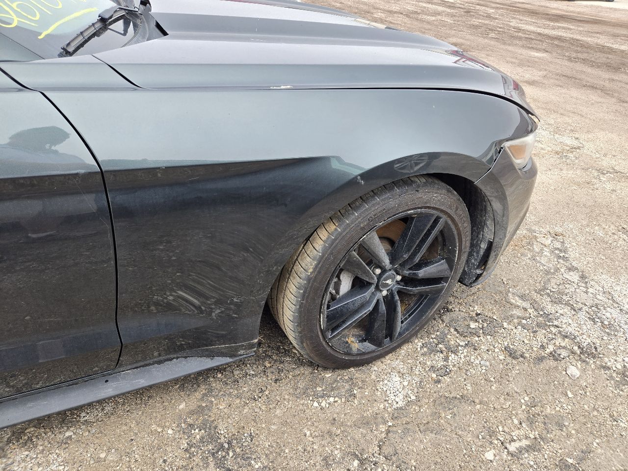 Vehicle/251819_10.jpg