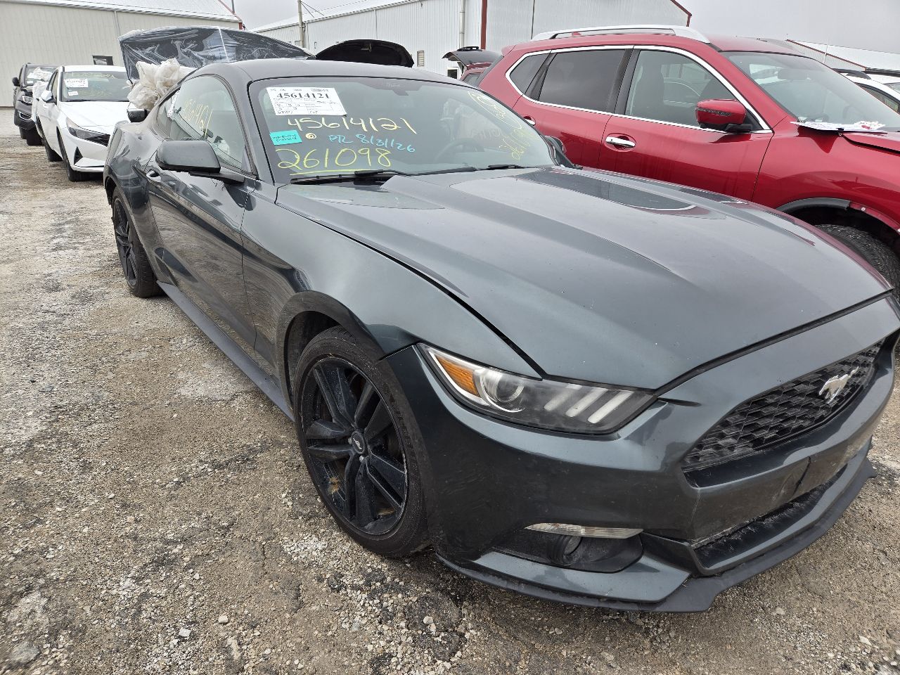 Vehicle/251819_11.jpg