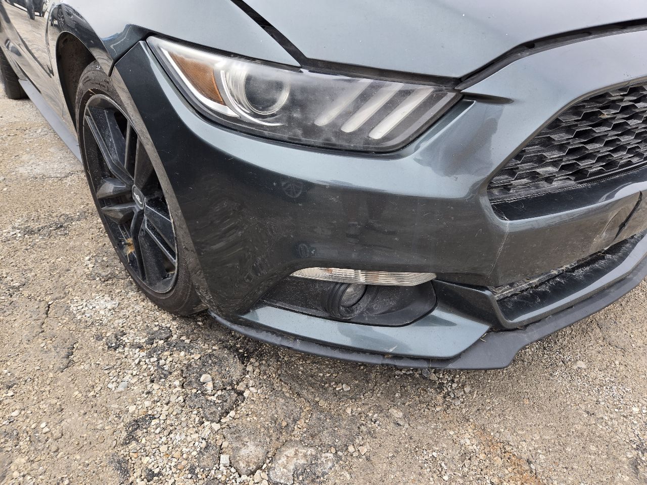 Vehicle/251819_12.jpg