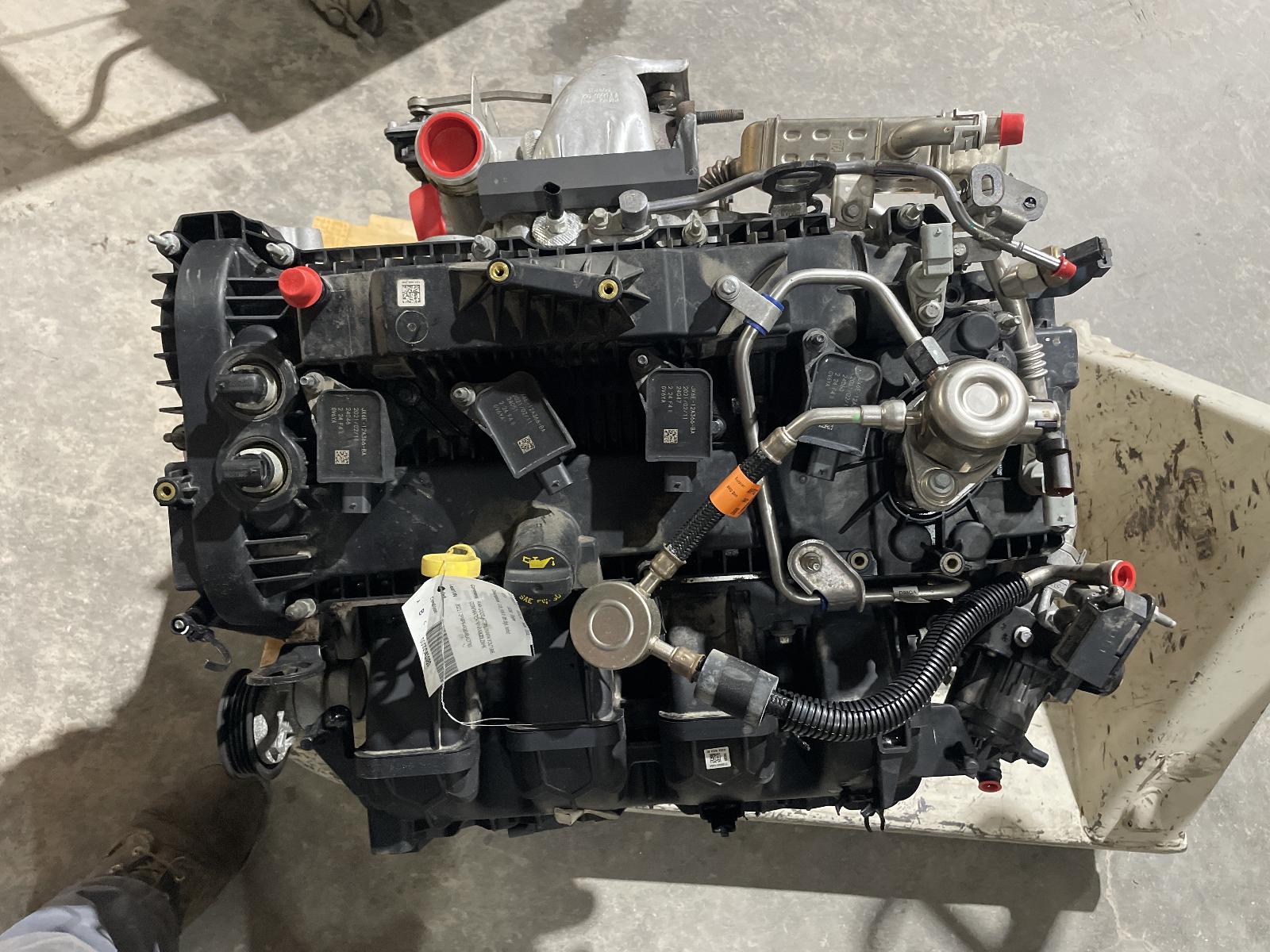 d/f/i/i/d/e/65a40aef-9356-46ea-b2e4-55ddaaeafeb2.jpg