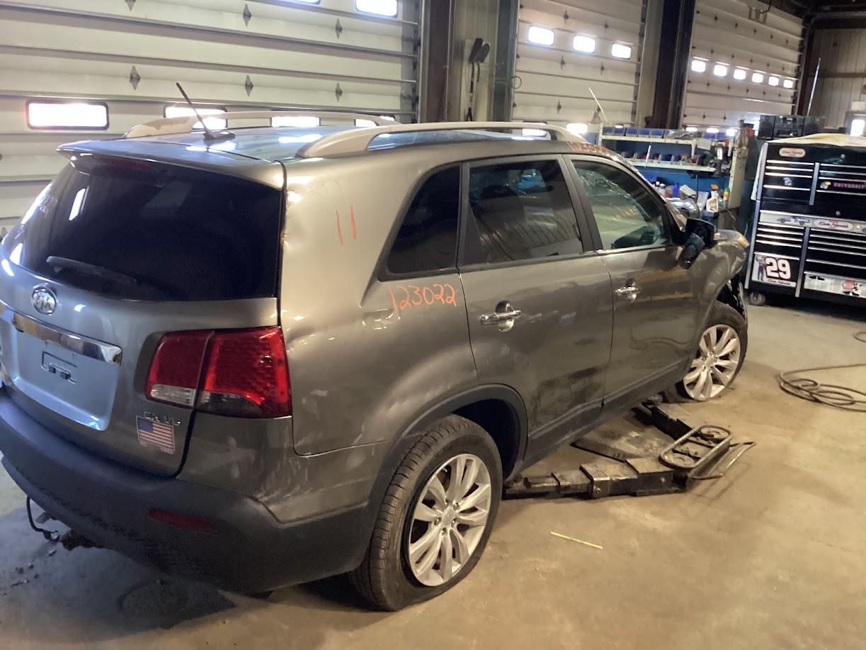 b/h/d/i/i/17884c19-7e59-4009-9160-df9740c10a02.jpg