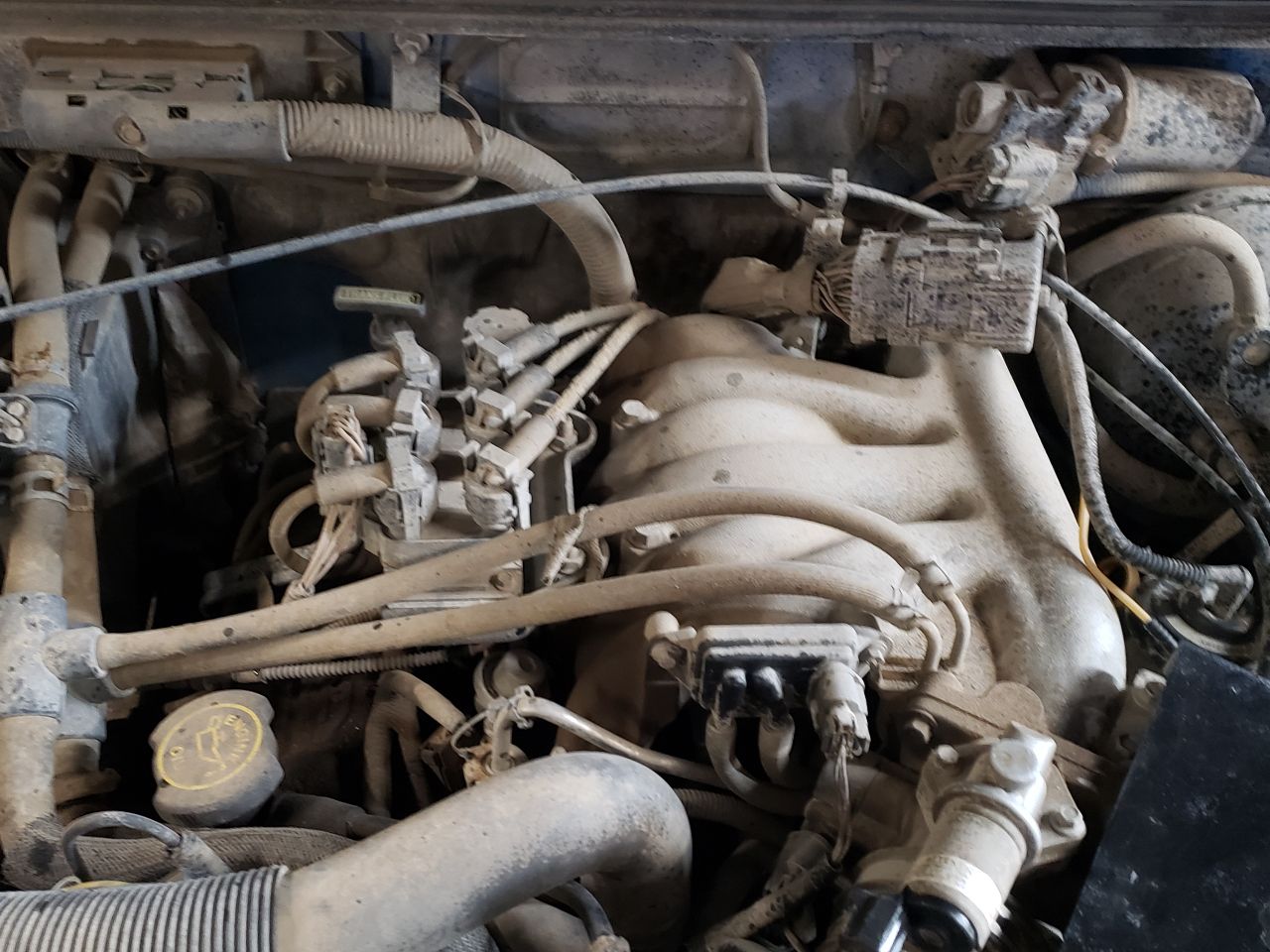 https://f005.backblazeb2.com/file/img-partshotlines-com/Inventory/EX534/Vehicle/44988_08.jpg