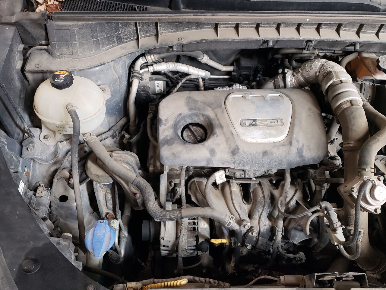 https://f005.backblazeb2.com/file/img-partshotlines-com/Inventory/EX534/Vehicle/45088_12.jpg