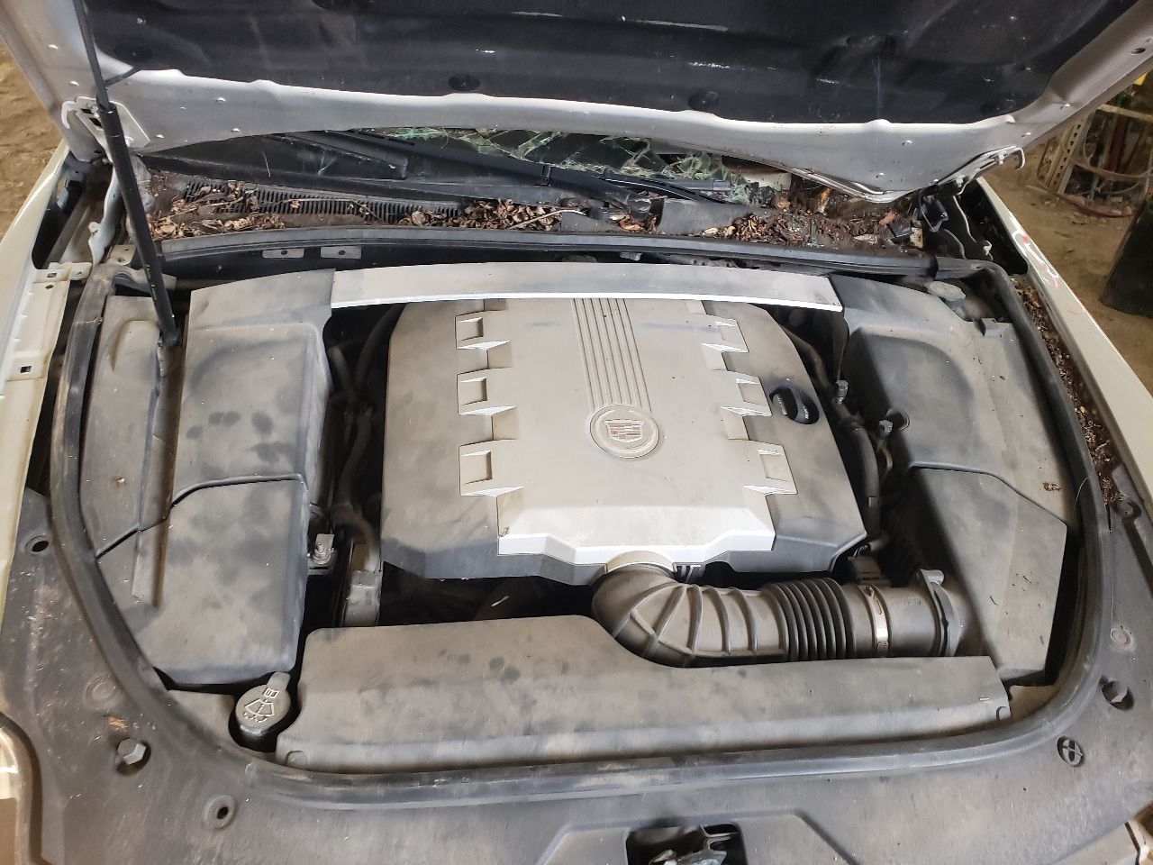 https://f005.backblazeb2.com/file/img-partshotlines-com/Inventory/EX534/Vehicle/45599_12.jpg