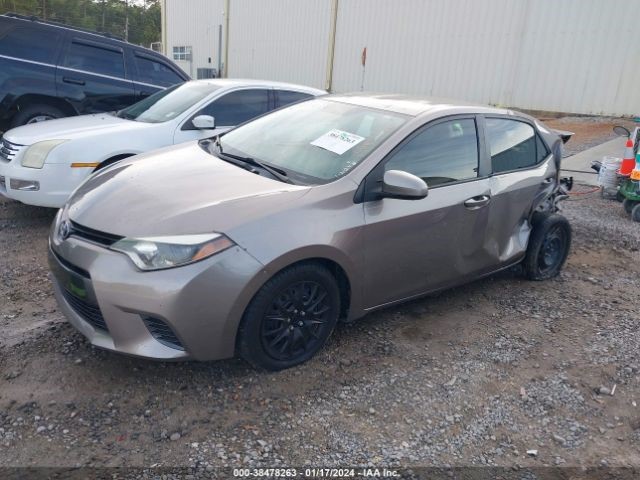 Vehicle/80029_02.jpg
