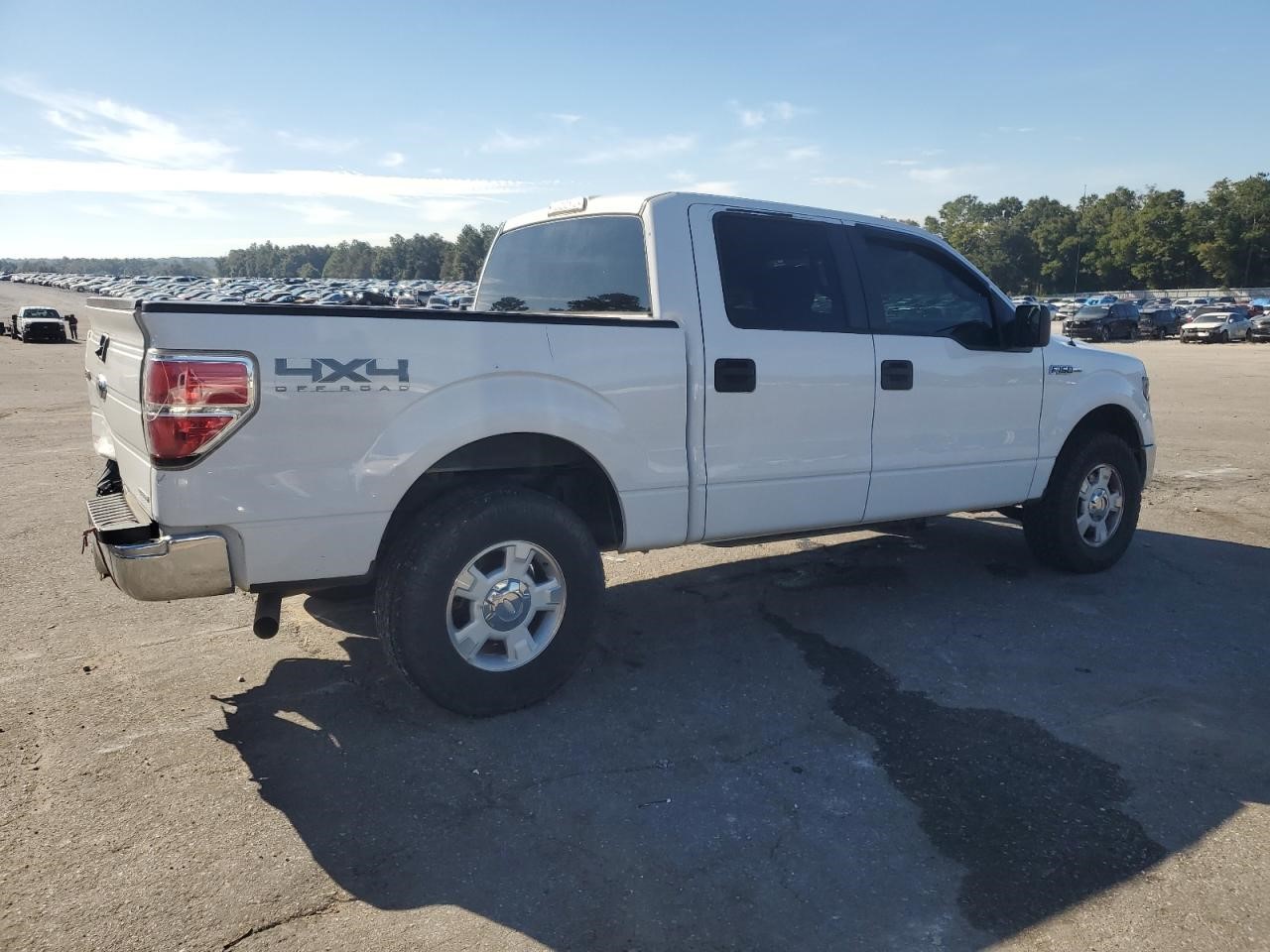Vehicle/81981_03.jpg